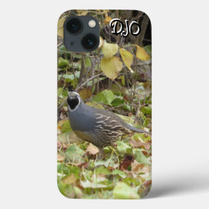 Fall California Quail Case-Mate iPhone Hülle