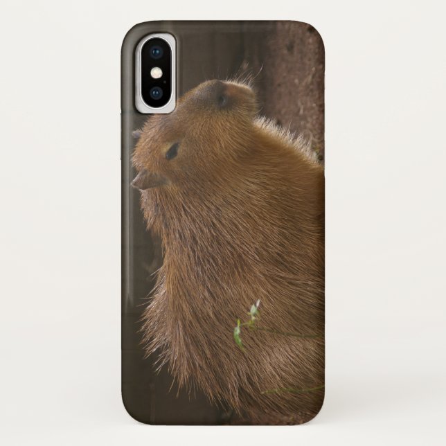 Fall Capybara Case-Mate iPhone Hülle (Rückseite)