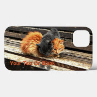 Fall "Catnap"-Süssen für iPhone-Case