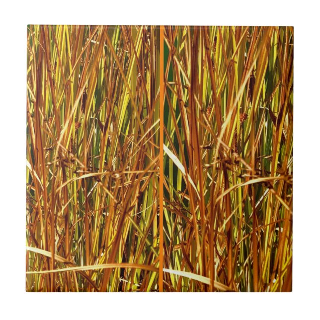 Fall Cattails Fliese (Vorderseite)