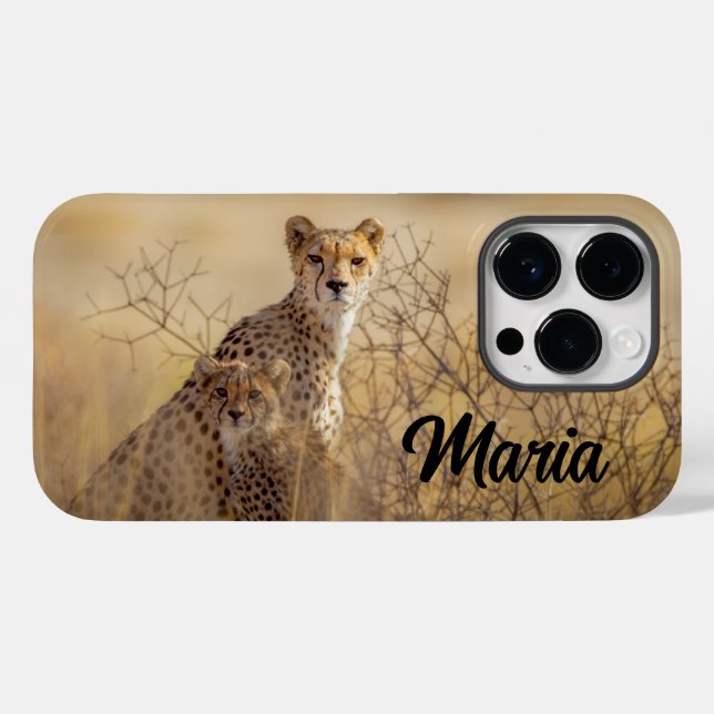Fall Cheetahs Case-Mate iPhone Case-Mate iPhone Hülle (Rückseite (Horizontal))