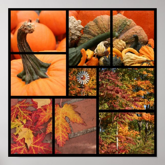 Fall Collage Poster (Vorne)