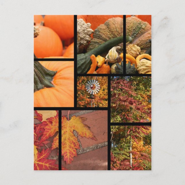 Fall Collage Postkarte (Vorderseite)