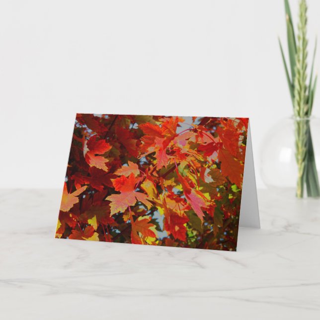Fall collection Note card Karte (Vorderseite)