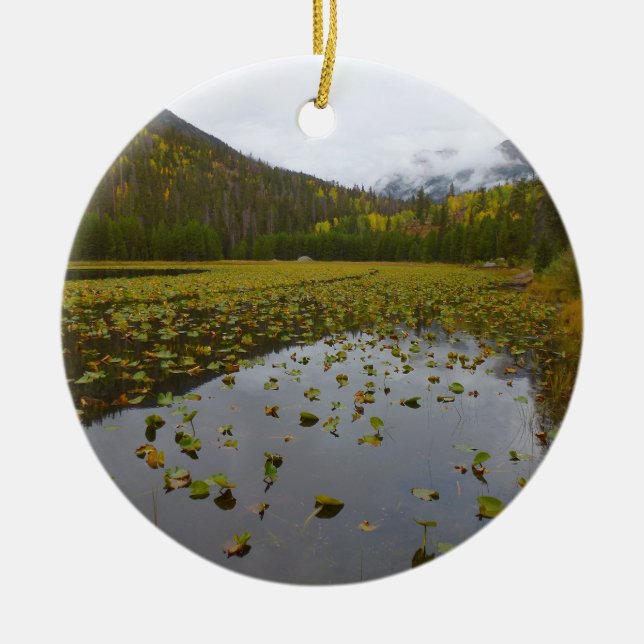 Fall Color at Cube Lake Keramik Ornament (Vorne)
