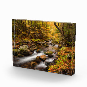 Fall Color Jefferson Brook Weiße Berge Fotoblock