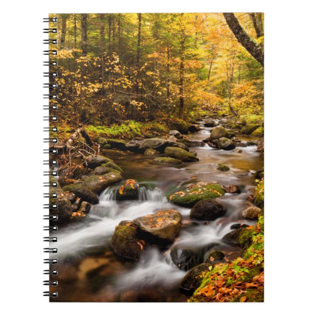 Fall Color Jefferson Brook | Weiße Berge Notizblock (Vorderseite)
