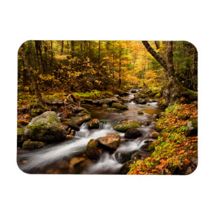 Fall Color Jefferson Brook   White Mountains Magnet