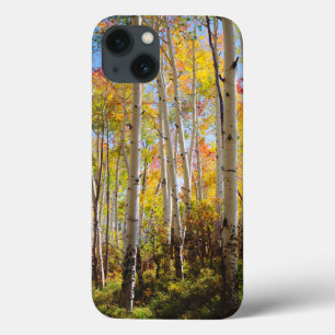 Fall colors of Aspen trees 5 Case-Mate iPhone Hülle