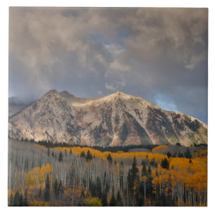 Fall Colors of Aspens, Keebler Pass Fliese
