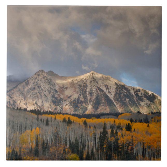 Fall Colors of Aspens, Keebler Pass Fliese (Vorderseite)