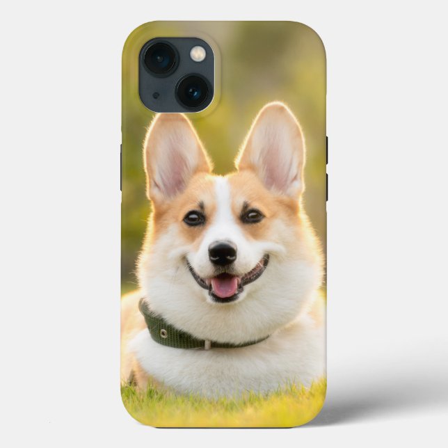 Fall Corgi Case-Mate iPhone Case-Mate iPhone Hülle (Rückseite)