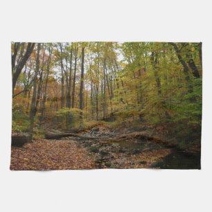 Fall Creek auf Laurel Hill Staat Park Pennsylvania Geschirrtuch
