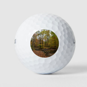 Fall Creek auf Laurel Hill Staat Park Pennsylvania Golfball