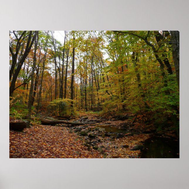 Fall Creek auf Laurel Hill Staat Park Pennsylvania Poster (Vorne)