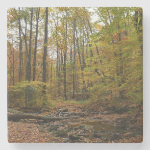 Fall Creek auf Laurel Hill Staat Park Pennsylvania Steinuntersetzer