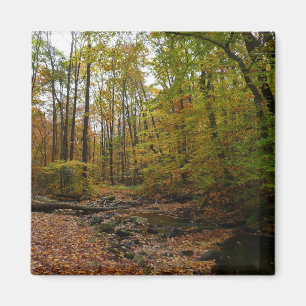 Fall Creek im Laurel Hill Staat Park Magnet