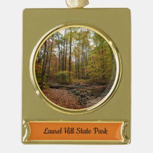 Fall Creek im Laurel Hill State Park Pennsylvania Banner-Ornament Gold
