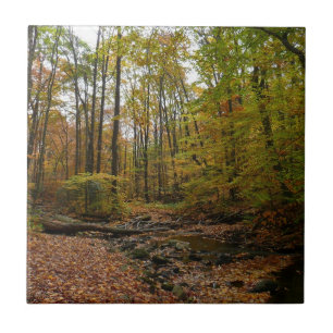 Fall Creek im Laurel Hill State Park Pennsylvania Fliese