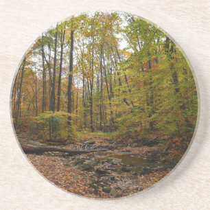 Fall Creek im Laurel Hill State Park Pennsylvania Getränkeuntersetzer