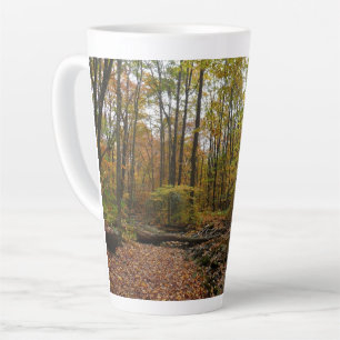 Fall Creek im Laurel Hill State Park Pennsylvania Milchtasse