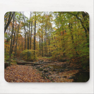Fall Creek im Laurel Hill State Park Pennsylvania Mousepad