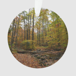 Fall Creek im Laurel Hill State Park Pennsylvania Ornament