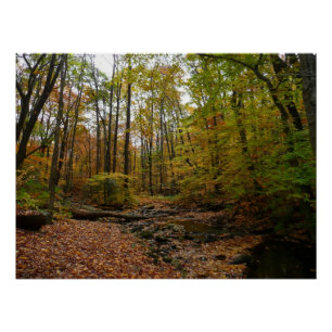 Fall Creek im Laurel Hill State Park Pennsylvania Poster