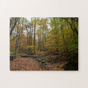 Fall Creek im Laurel Hill State Park Pennsylvania Puzzle