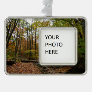 Fall Creek im Laurel Hill State Park Pennsylvania Rahmen-Ornament Silber