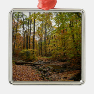 Fall Creek im Laurel Hill State Park Pennsylvania Silbernes Ornament