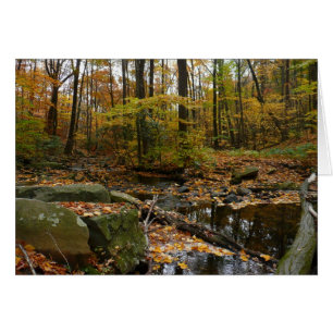 Fall Creek mit Blick auf den Laurel Hill Park