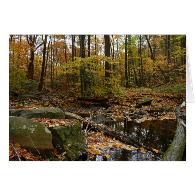 Fall Creek mit Blick auf den Laurel Hill Park (Vorderseite (Horizontal))