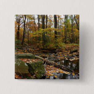 Fall Creek mit Blick auf den Laurel Hill Park Button