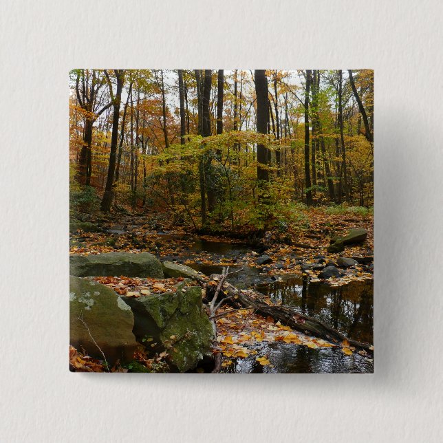 Fall Creek mit Blick auf den Laurel Hill Park Button (Vorderseite)