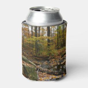 Fall Creek mit Blick auf den Laurel Hill Park Dosenkühler