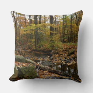 Fall Creek mit Blick auf den Laurel Hill Park Kissen