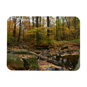 Fall Creek mit Blick auf den Laurel Hill Park Magnet