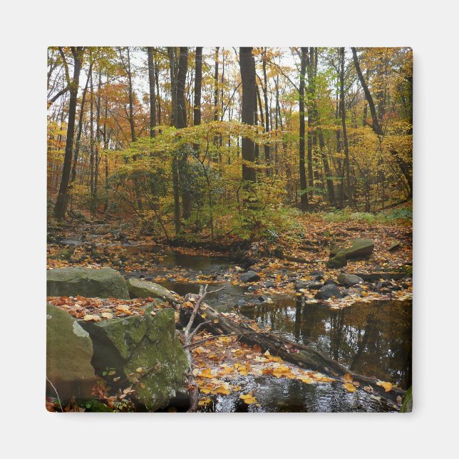 Fall Creek mit Blick auf den Laurel Hill Park Magnet (Vorne)