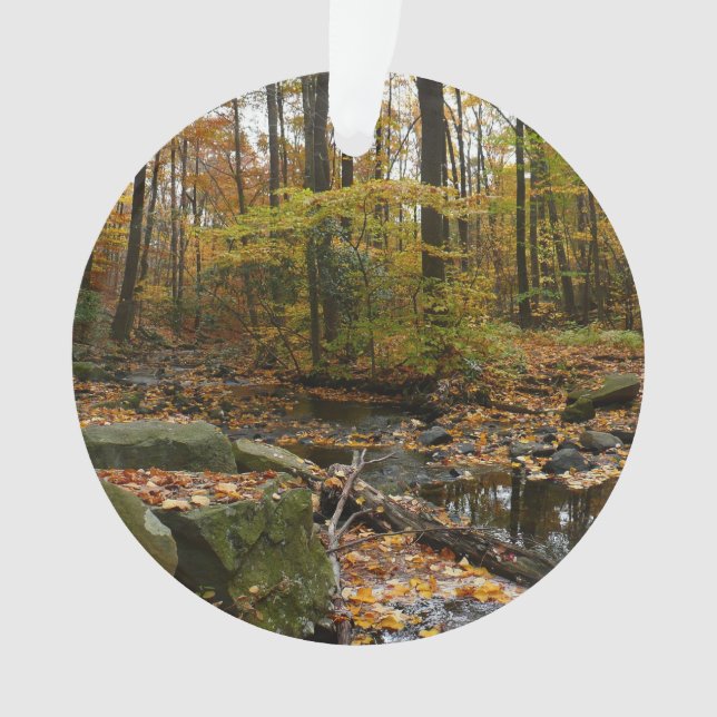 Fall Creek mit Blick auf den Laurel Hill Park Ornament (Vorderseite)