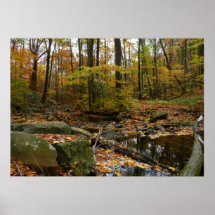 Fall Creek mit Blick auf den Laurel Hill Park Poster