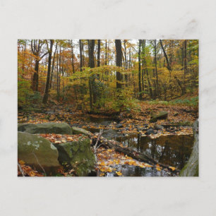 Fall Creek mit Blick auf den Laurel Hill Park Postkarte