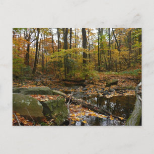 Fall Creek mit Blick auf den Laurel Hill Park Postkarte