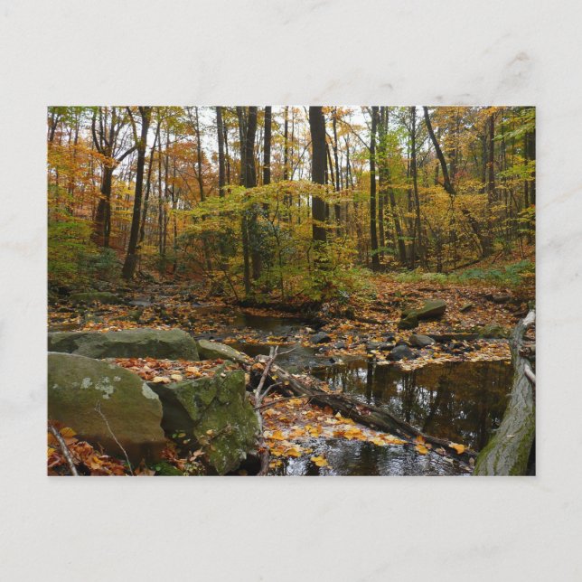 Fall Creek mit Blick auf den Laurel Hill Park Postkarte (Vorderseite)