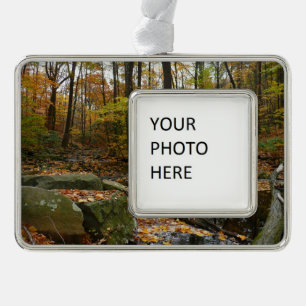 Fall Creek mit Blick auf den Laurel Hill Park Rahmen-Ornament Silber