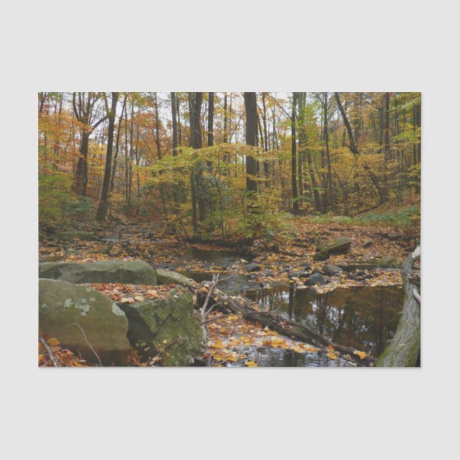 Fall Creek mit Blick auf den Laurel Hill Park Seidenpapier (Vorderseite)