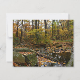 Fall Creek mit Spiegelung im Laurel Hill Park