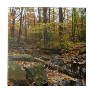 Fall Creek mit Spiegelung im Laurel Hill Park Fliese