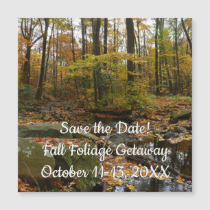 Fall Creek mit Spiegelung im Laurel Hill Park Magnetkarte