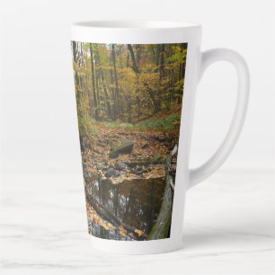Fall Creek mit Spiegelung im Laurel Hill Park Milchtasse